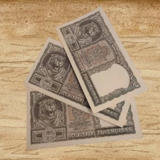 Early Republic India: Independence Decade